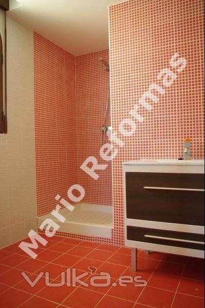 Foto: Reforma de un baño alicatado en dos colores ...