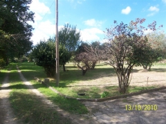 Variedad de arboles en toda la finca