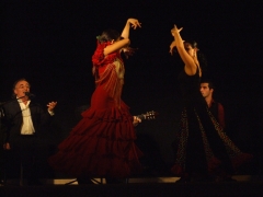 Actuacion Flamenco