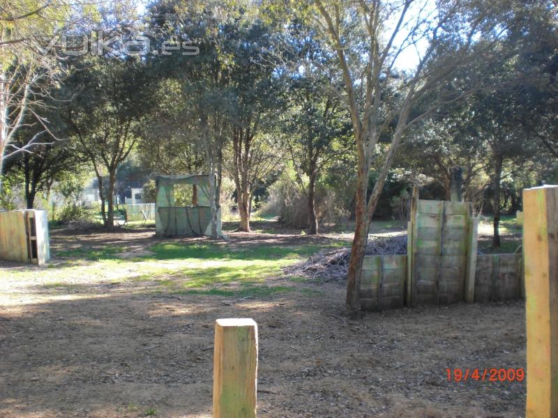 campo 3 bosque