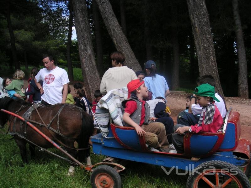 Paseo en carro con el poni