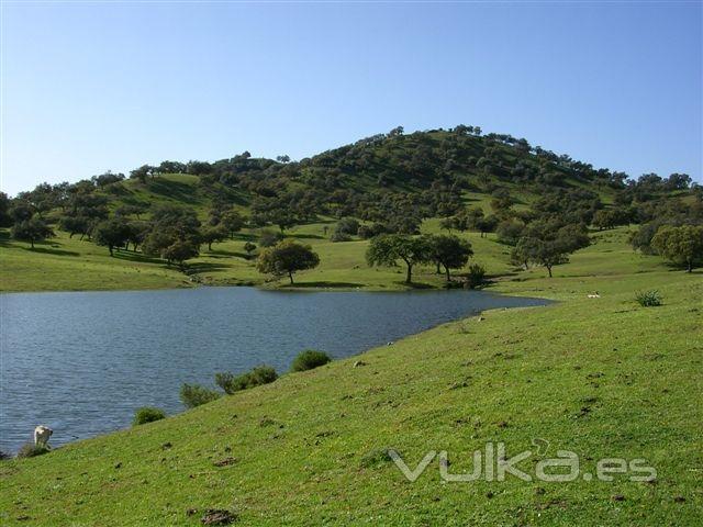 Cuidamos el paisaje natural