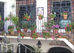 Foto 33 restaurantes en Crdoba - Caballo Rojo