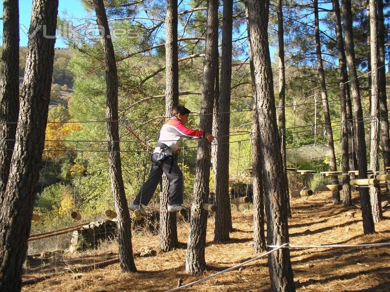 ACTIVIDAD: PARQUE DE AVENTURAS EN LOS ARBOLES