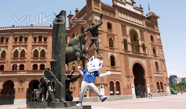 Billiken in Plaza de Toros las Ventas