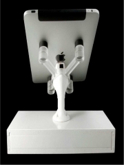 Display ipad saaa