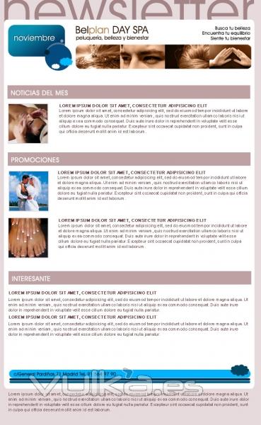 newsletter noviembre