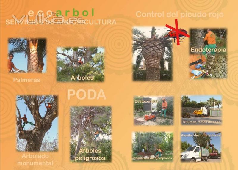  oferta arboricultura