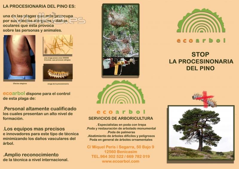 folleto lucha porcesinaria del pino