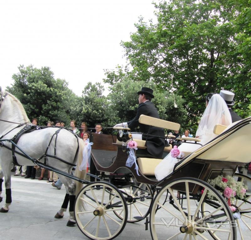 Carruajes de caballos