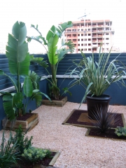 Realizacion de jardines de diseno