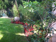Plantacion de flores