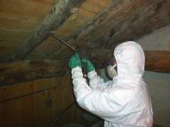 Saneamiento y proteccion de la madera carcomas, termitas, hongos etc