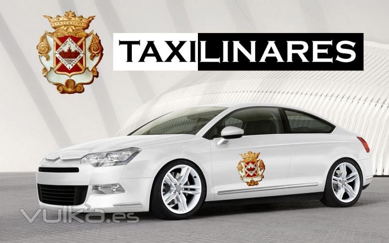 Taxi Linares N10