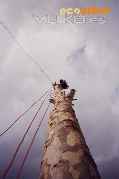 desmontaje arbole peligrosos castellon