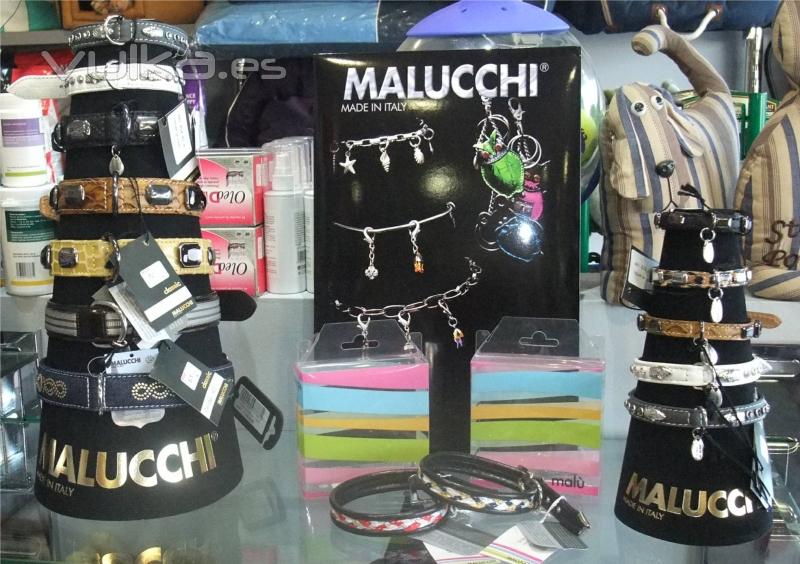 Nuevos productos exclusivos MALUCCHI