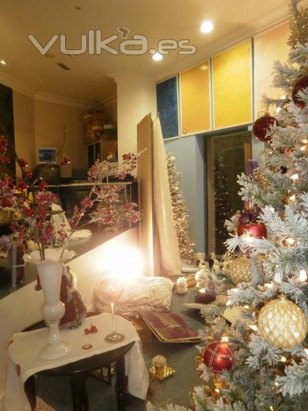 EXPOSICION, CAMPAÑA NAVIDAD 2010