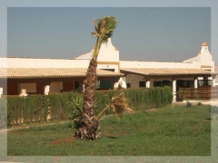 Hacienda el boyal el mas bonito hotel rural & centro ecuestre en andalucia