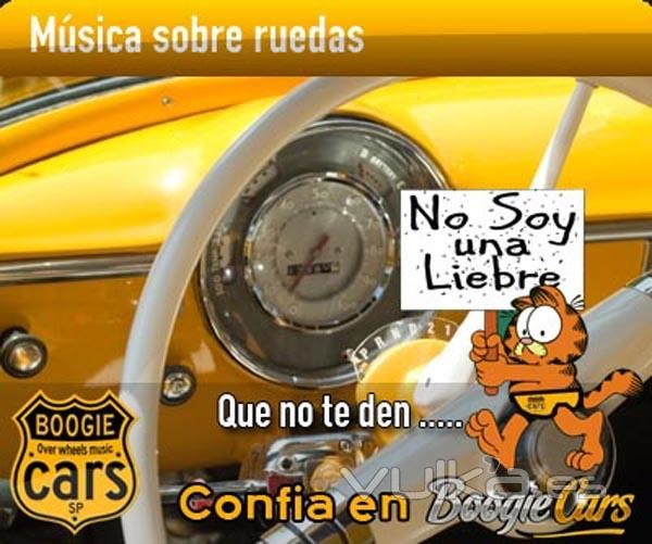 En Boogiecars todos los coches son de total confianza