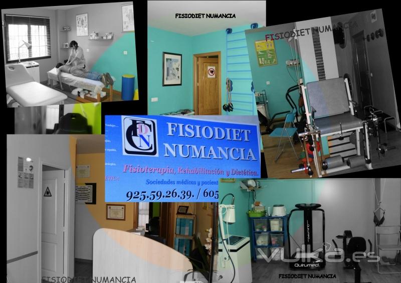 Centro de Fisioterapia, Rehabilitación, Osteopatía, Acupuntura, Fisioestética y Dietética y Nutrició