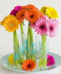 Envio de flores puerto de la cruz floristeria flor de mundo - foto 10