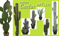 Avance coleccin 2011 - cactus artificiales articoencasa.com