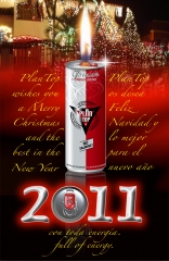 Nuestros mejores deseos con sana energia para el 2011