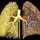 sistema pulmonar