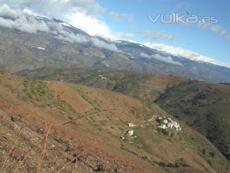 Bodega Garca de Verdevique