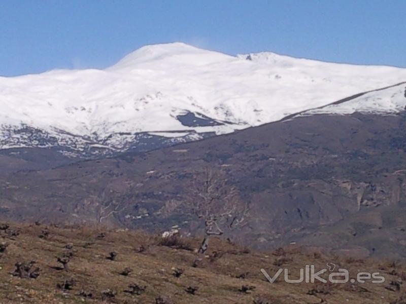 Sierra Nevada - Garca de Verdevique