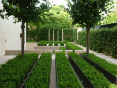 Jardin urbano