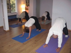Yoga oviedo, una clase de yoga en el centro de yoga, oviedo-asturias