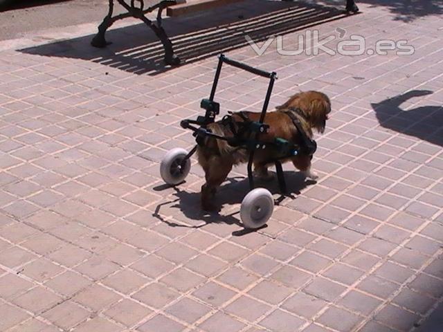 Carro para perros paraplejicos con ligera mobilidad de patas.