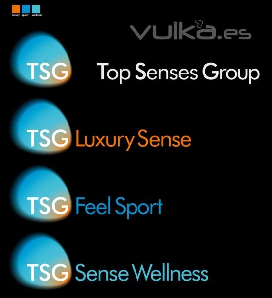 Top Senses Group los mejores servicios VIP en Barcelona