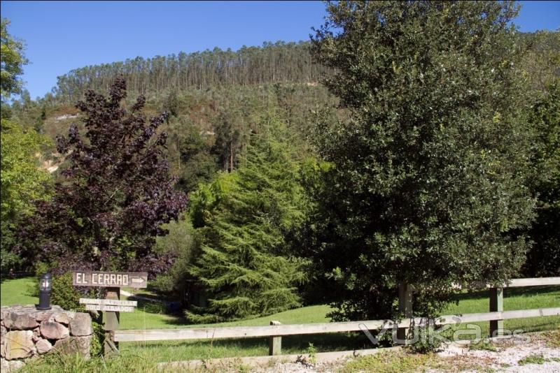 El cerrao:entrada finca-aparcamiento