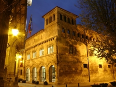 Palacio de los reyes, estella