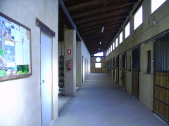 Equibalance - foto 8