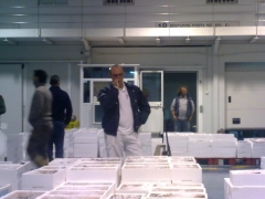 SNOWMAN S.C. - Foto 14