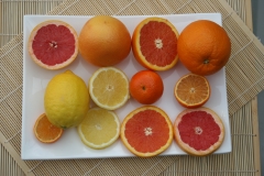 Linea de citricos