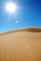 Desierto del sahara (argelia)