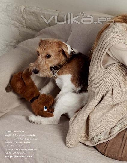 pagina1