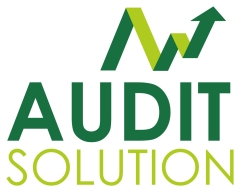 Logotipo audit solution