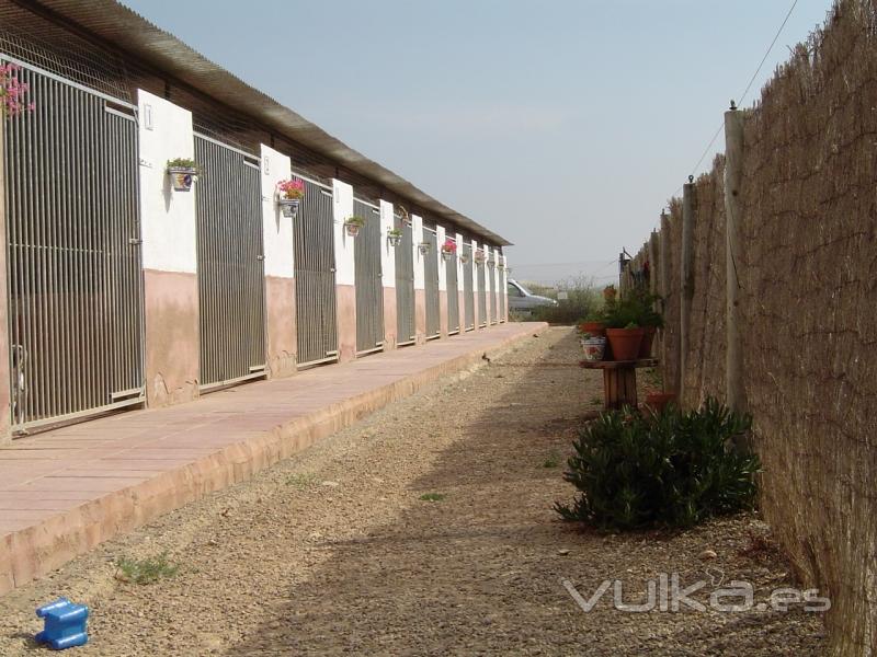 vista de las perreras