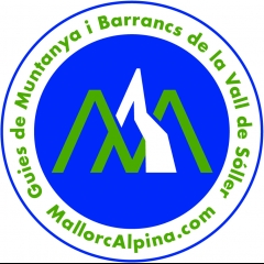 Logo mallorcalpina.