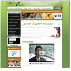 Foto 43 agencias de publicidad en Albacete - Websai Diseo web