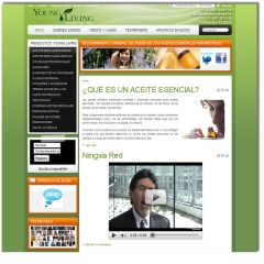 Websai diseno web - foto 30
