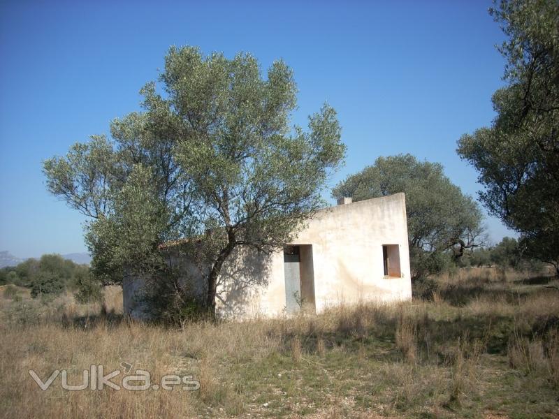 Canet Lo Roig - Finca rstica 12.000 M2. con caseta, buen acceso 16.000 euros