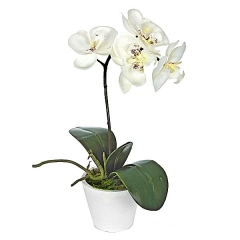 Planta artificial phalaenopsis blanca en lallimona.com