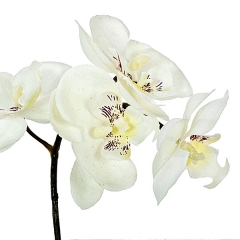 Planta artificial phalaenopsis blanca en lallimona.com detalle1