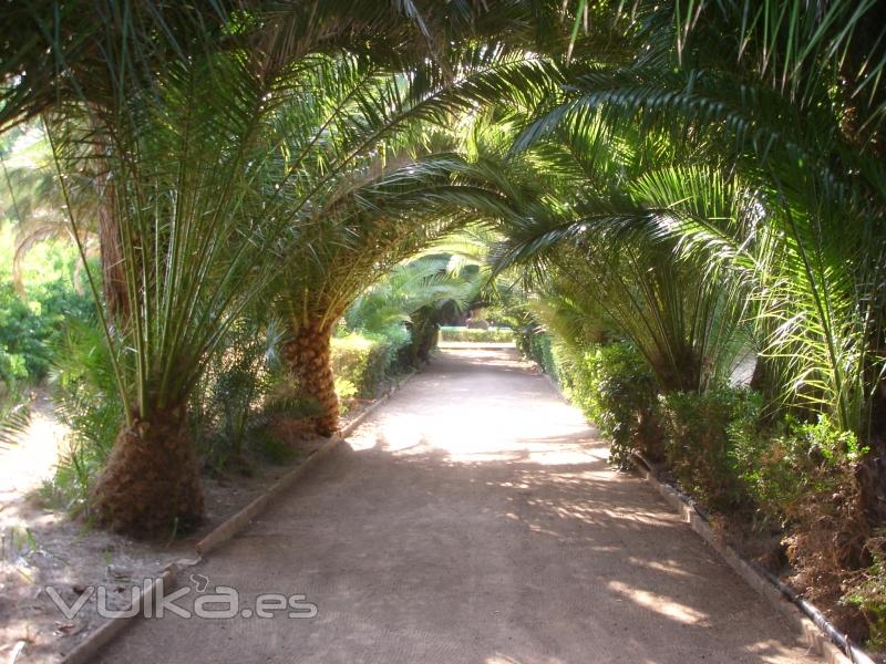 Jardin Historico Hacienda La Vara 04